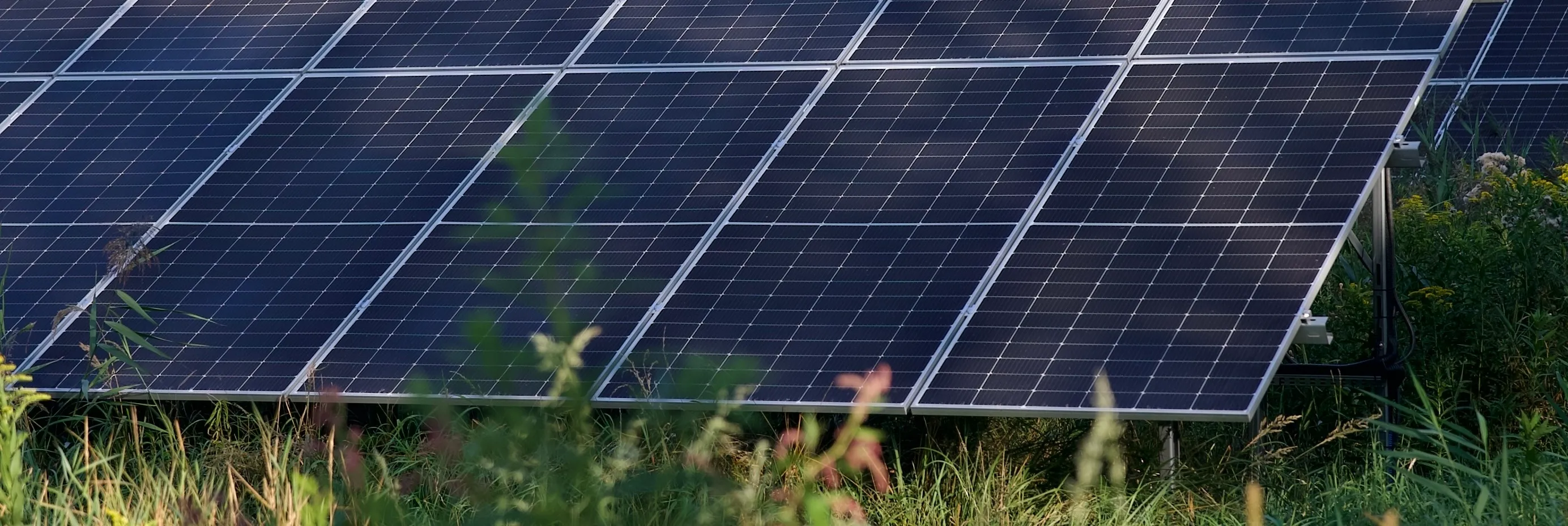 Rzędy paneli słonecznych na farmie słonecznej w zakładzie produkującym rury, na tle jesiennych drzew i czystego, błękitnego nieba